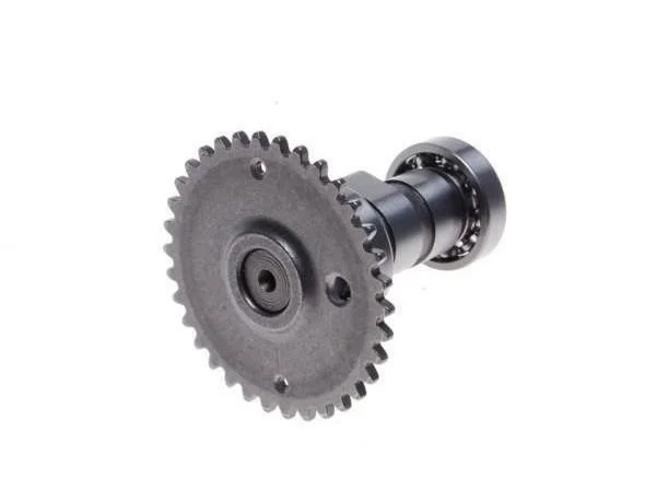 motoargo-3202606021058252034226